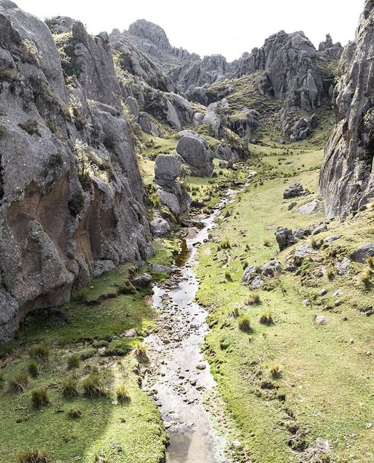 Arroyo que baja por una quebrada de rocas y pastizales