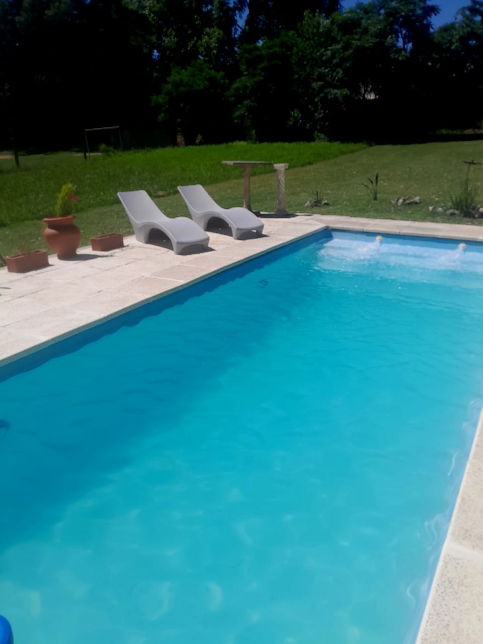 Pileta de día con dos reposeras y parque alrededor
